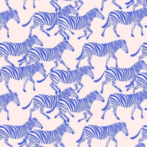 (small scale) zebras in blue on pink