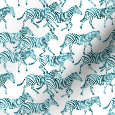 (small scale) zebras in teal