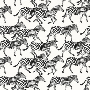 (small scale) zebras