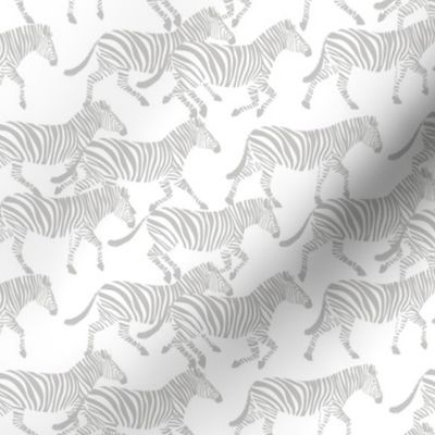 (small scale) zebras in grey