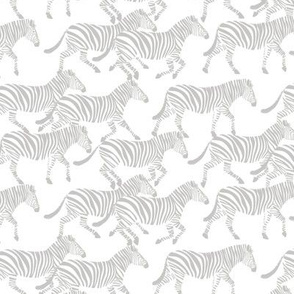 (small scale) zebras in grey