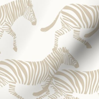 zebras in tan