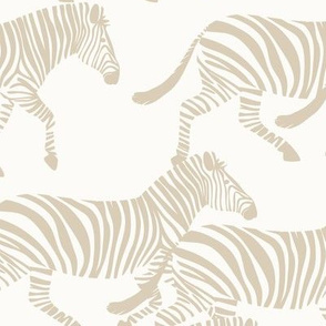 zebras in tan