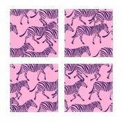 zebras in purple on pink