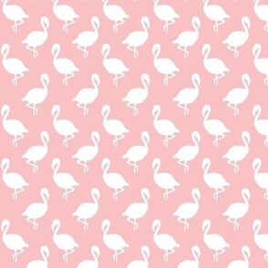 Flamingo Flock on Pink, Tropical Bird, Pastel Millenial Pink