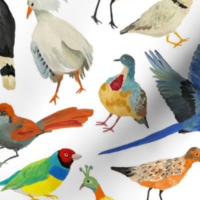 Endangered Birds Around the World