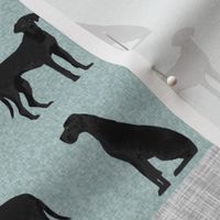 great dane black pet quilt b cheater wholecloth collection 