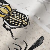 Entomology Sketchbook Bugs Ivory - HalfBrick