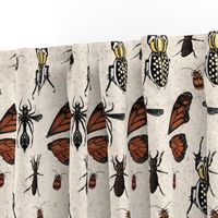 Entomology Sketchbook Bugs Ivory - HalfBrick