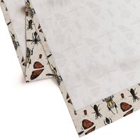 Entomology Sketchbook Bugs Ivory - HalfBrick