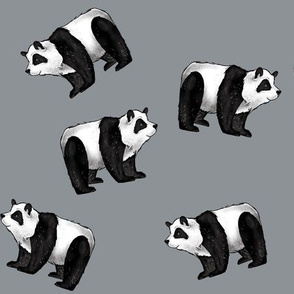 Pandas Everywhere on Grey