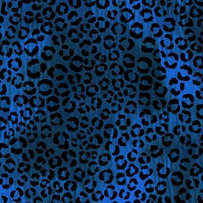 Leopard_Blue