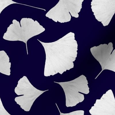 Midnight blue ginkgo