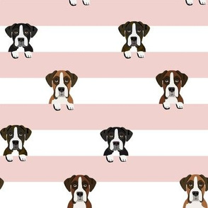 boxer stripes dog fabric pink
