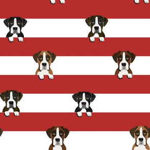 boxer stripes dog fabric red