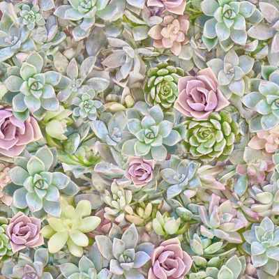 Pastel Succulents Fabric, Wallpaper and Home Decor | Spoonflower