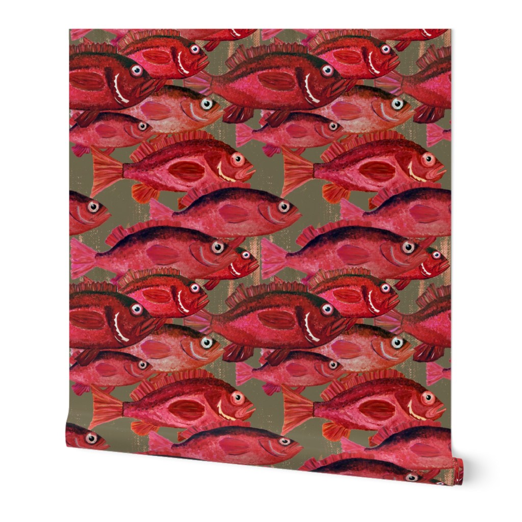 school of red snapper fish - Mid-Size