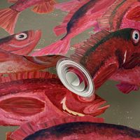 school of red snapper fish - Mid-Size