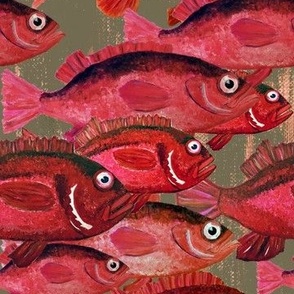 school of red snapper fish - Mid-Size