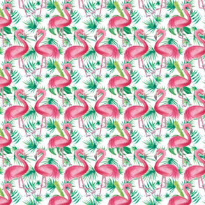 Tropical flamingo