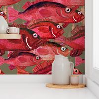 Red Snapper  - Large Scale