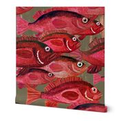 Red Snapper  - Large Scale