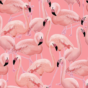 Flamingo (pink)