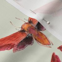 Painted Moth 1 