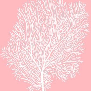 White Fan Corals (coral)