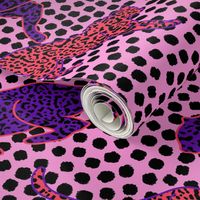 Jaguar Wild Pink