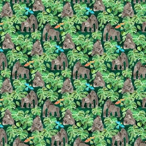 Gorillas in the Emerald Forest - tiny print