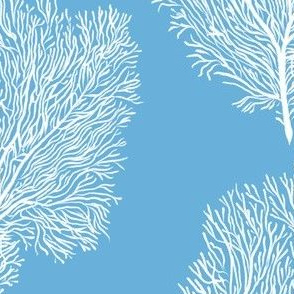 White Fan Corals (carolina blue)
