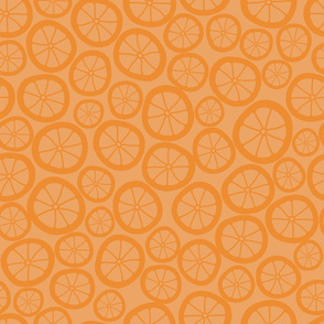 Orange Slices Texture