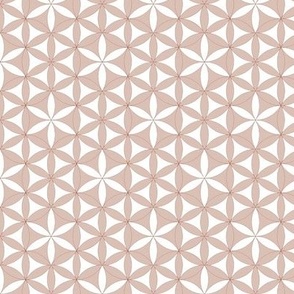 Brown Sacred Geometry Pattern