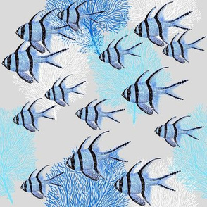 Banggai Cardinalfish Galore (blue silver)