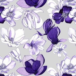 purple_magnolia_greyback