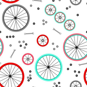 Bicycle Wheels and Gears