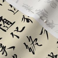 Ancient Chinese Calligraphy on Parchment // Small