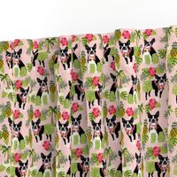 boston terrier hula tropical hawaii islands dog breed fabric pink