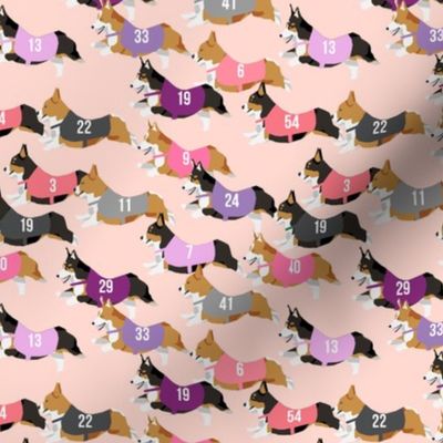 corgi runnnig  racing corgis dog fabric pink