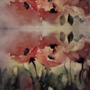 poppies at dusk