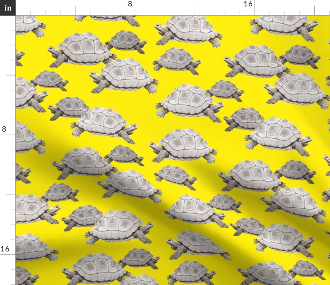 Turtles on Yellow