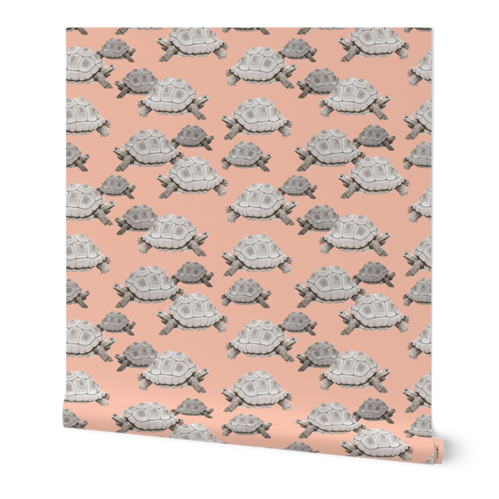 Turtles on Pink