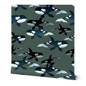 Orcas on Green - Larger Scale