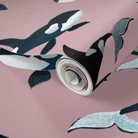 Orcas on Pink - Larger Scale