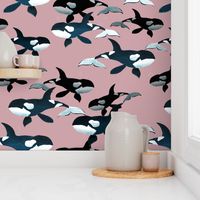 Orcas on Pink - Larger Scale