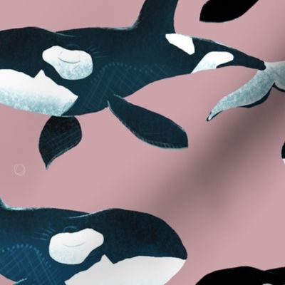 Orcas on Pink - Larger Scale