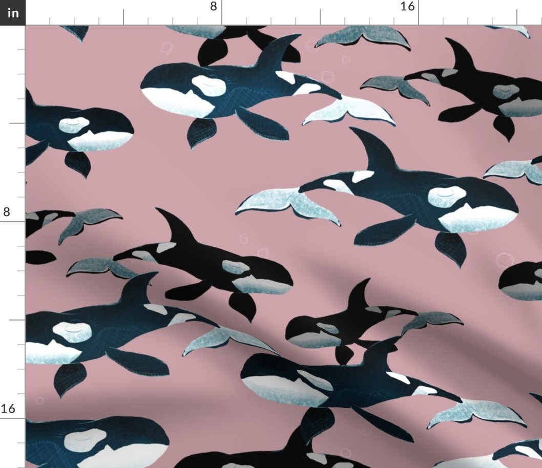 Orcas on Pink - Larger Scale