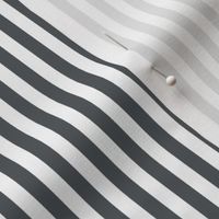 Stripes Vertical Charcoal Gray