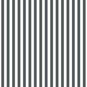 Stripes Vertical Charcoal Gray
